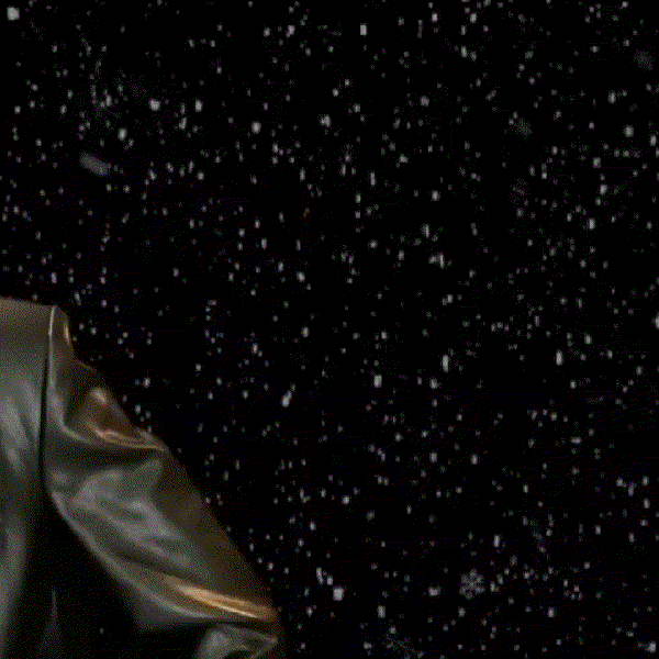 오늘 가장 사랑받은 로운의 모습