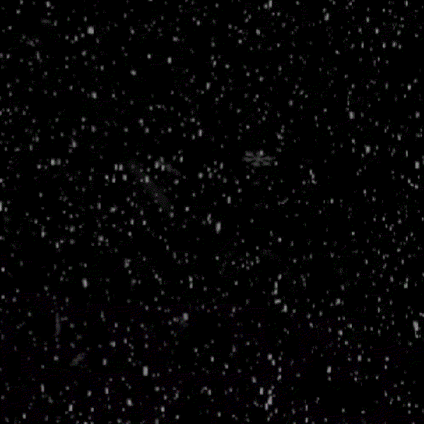 오늘 가장 사랑받은 로운의 모습