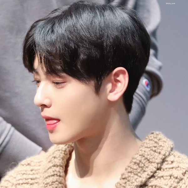 チャ・ウヌへのファンの愛が詰まった人気写真