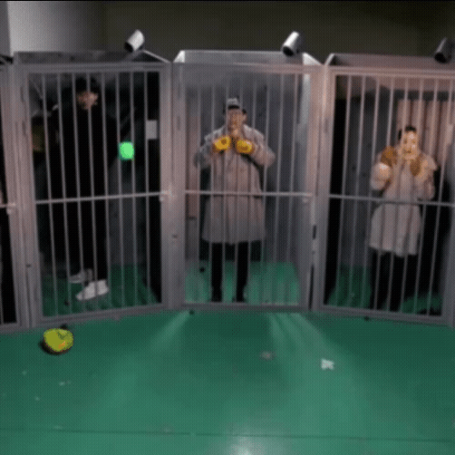 ファンが選んだパク・ミニョンの最高の瞬間