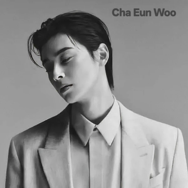 粉絲選出的車銀優最佳時刻