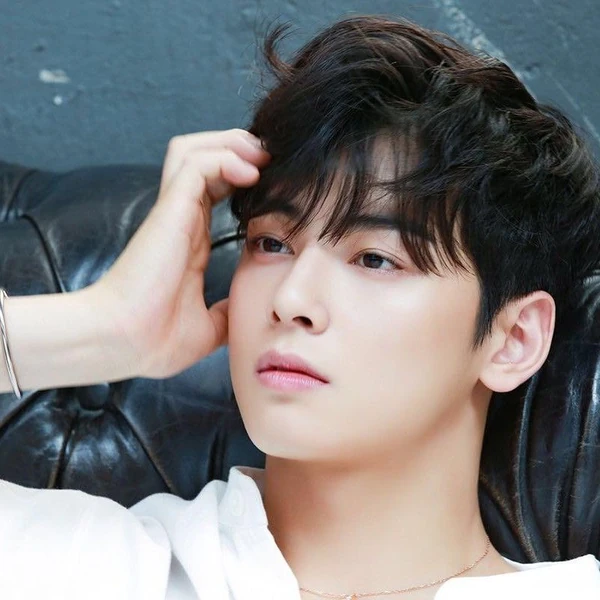 今天最受喜愛的車銀優模樣