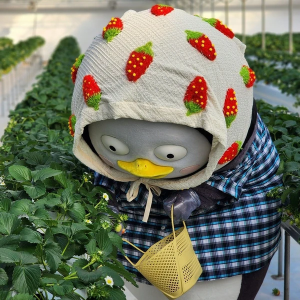 Popular photo full of fans’ love for Pengsoo