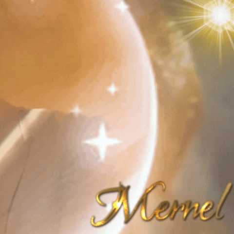 Popular photo full of fans’ love for Ji Changwook