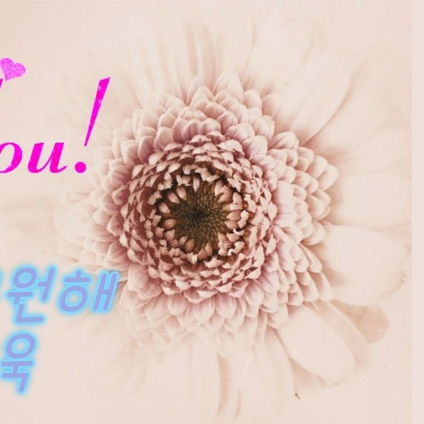 Popular photo full of fans’ love for Park Sewook