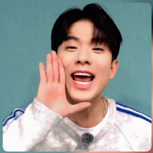 粉絲選出的羅泰柱最佳時刻