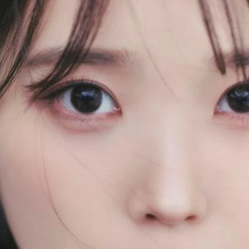 充滿粉絲愛的IU人氣照片