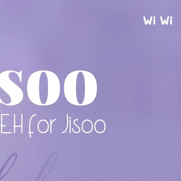 粉丝选出的智秀 (1995)最佳瞬间