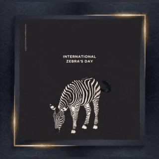 イ・ミンホへのファンの愛が詰まった人気写真