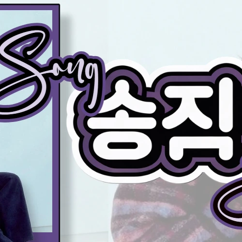 粉絲選出的宋智孝最佳時刻