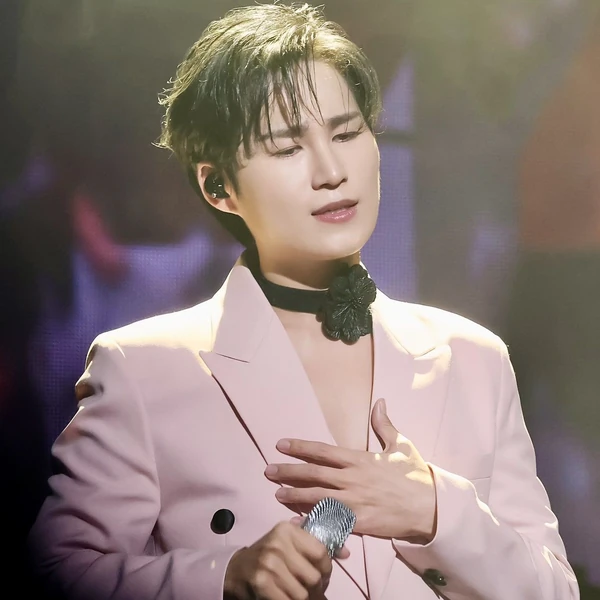 充满粉丝爱意的金熙栽人气照片