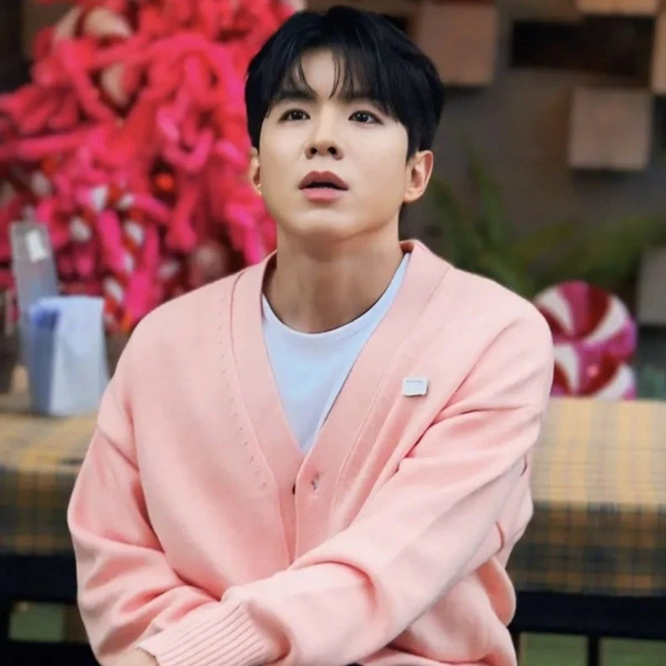 今天最受喜愛的羅泰柱模樣