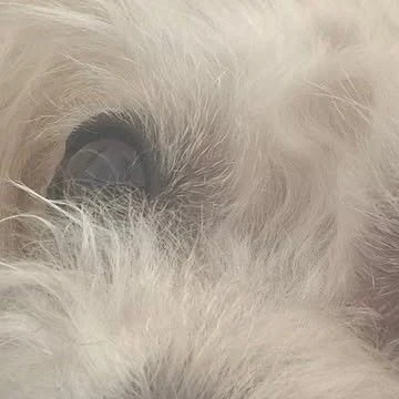 Popular photo full of fans’ love for Lee Jungha