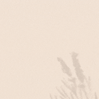 キム・ソンホへのファンの愛が詰まった人気写真