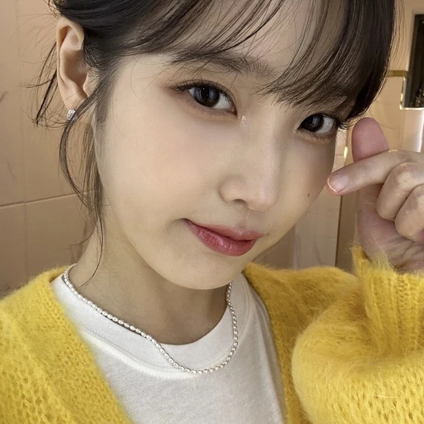 ファンが選んだIUの最高の瞬間