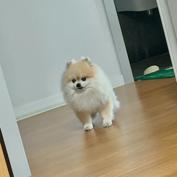 Momen gemilang Gumayusi yang dibuat oleh fandom