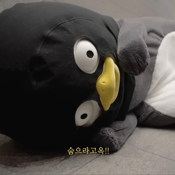 今日最も愛されたペンスの姿