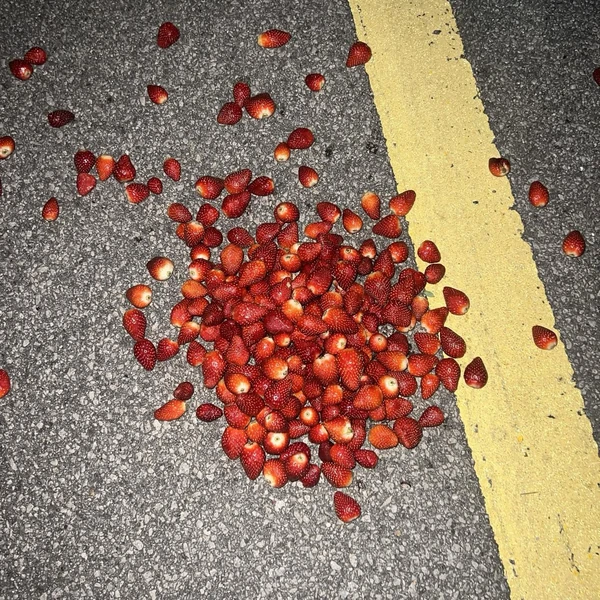 Popular photo full of fans’ love for BADA