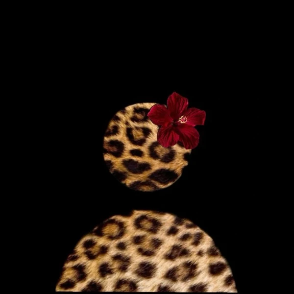 The most loved look of Yoo Yeonseok today