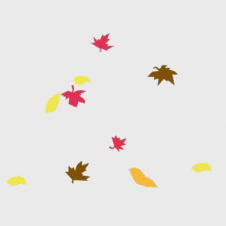 充滿粉絲愛的玄彬人氣照片