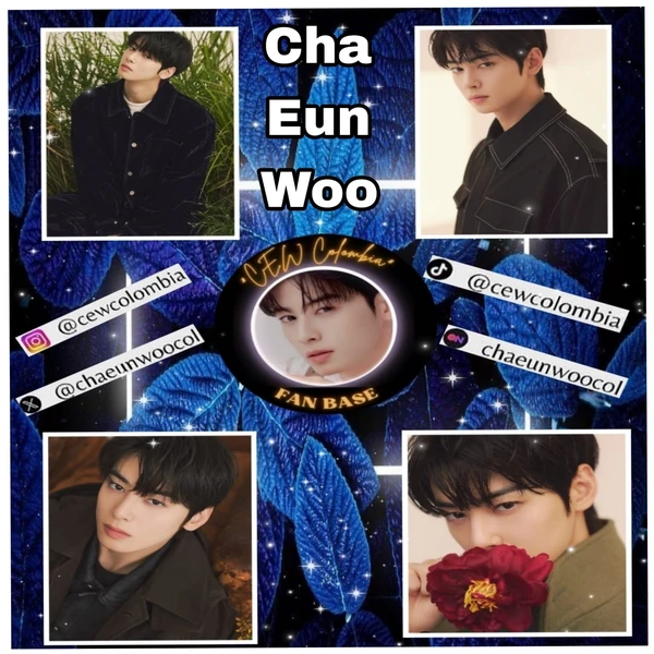 充满粉丝爱意的车银优人气照片