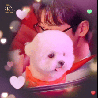 Popular photo full of fans’ love for Cha Eunwoo