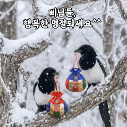 粉絲選出的李承允最佳時刻