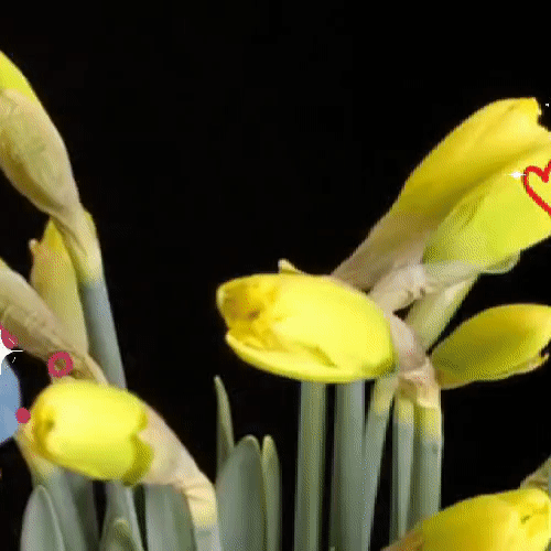 充滿粉絲愛的金浩中人氣照片