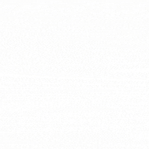 오늘 가장 사랑받은 김선호의 모습