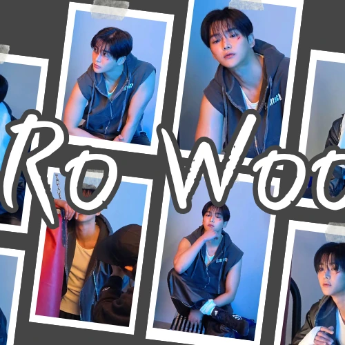 充满粉丝爱意的路云人气照片