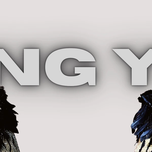 Popular photo full of fans’ love for Wang Yibo