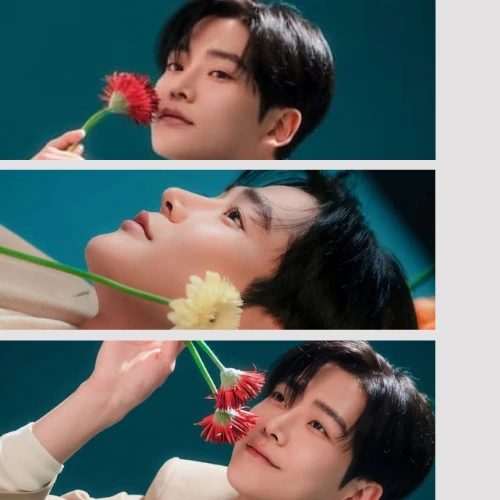 充满粉丝爱意的路云人气照片