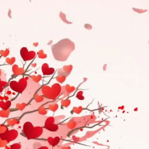 粉丝选出的金浩中最佳瞬间