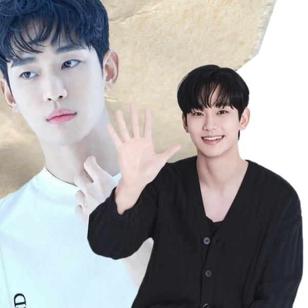 粉丝选出的金秀贤最佳瞬间