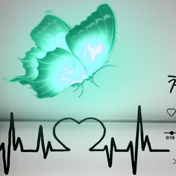 粉絲選出的Park Sewook最佳時刻