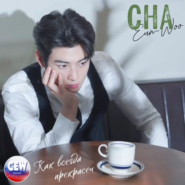 充满粉丝爱意的车银优人气照片