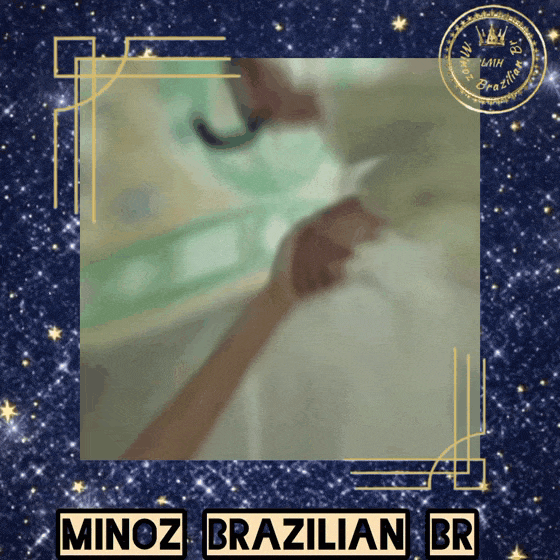 Representative photo of Lee Minho showing their charm