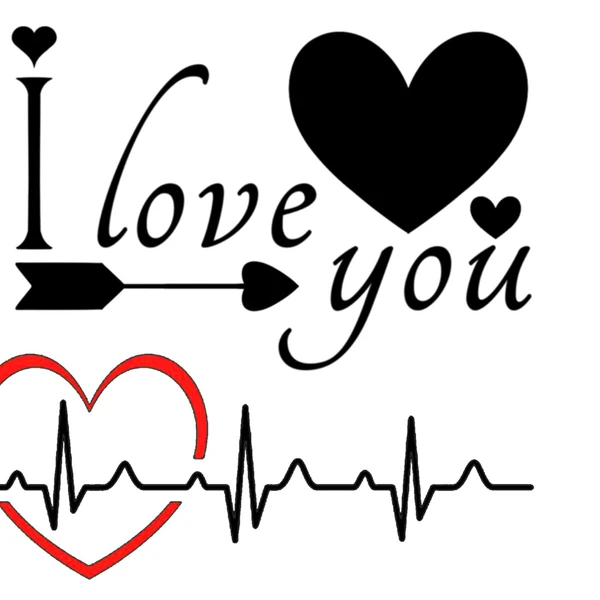 오늘 가장 사랑받은 박세욱의 모습