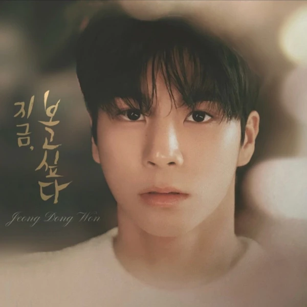 팬들이 뽑은 정동원 최고의 순간