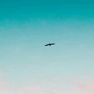 充滿粉絲愛的玄彬人氣照片