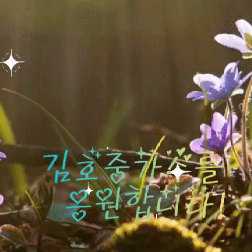 粉絲選出的金浩中最佳時刻