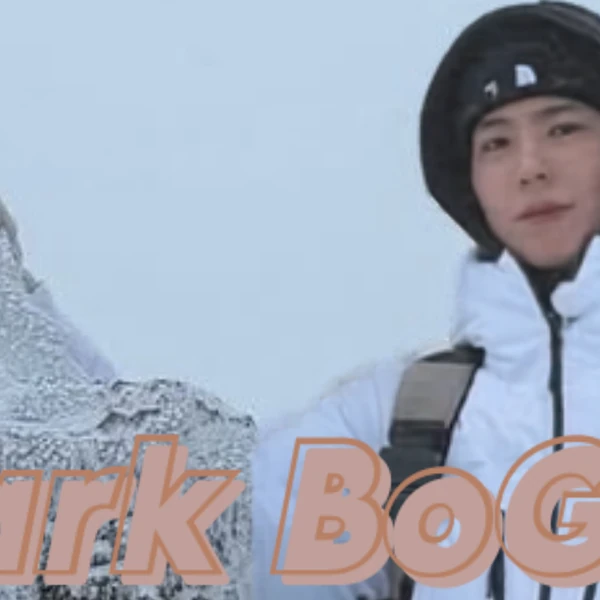 Popular photo full of fans’ love for Park Bogum