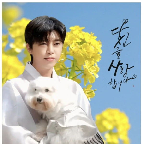 Penampilan Lim Youngwoong yang paling disukai hari ini