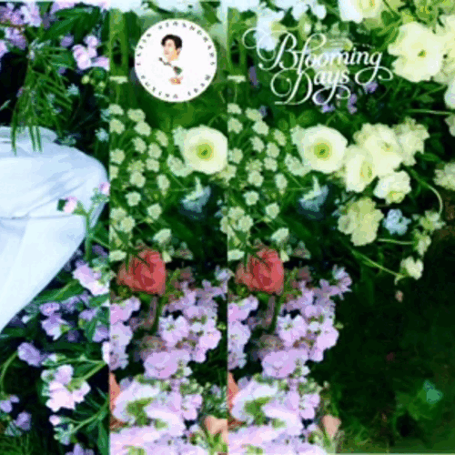 Momen terbaik Kim Seonho pilihan penggemar