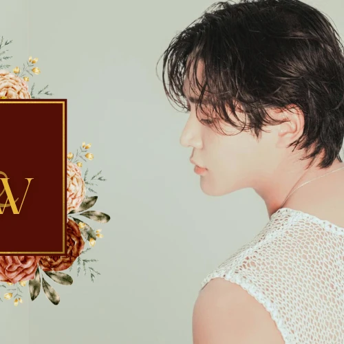 充满粉丝爱意的路云人气照片