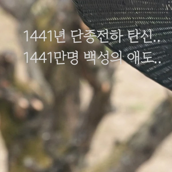 充滿粉絲愛的朴志訓人氣照片