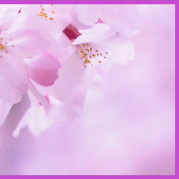 Top moment of Hwang Youngwoong chosen by fans