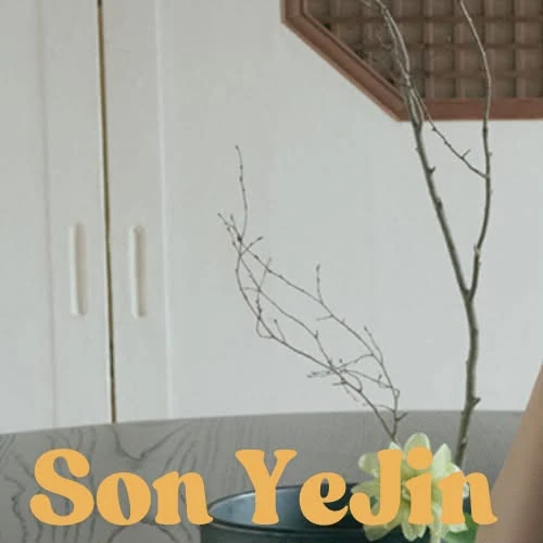 充满粉丝爱意的孙艺珍人气照片