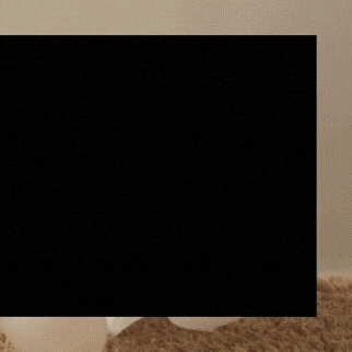 Momen terbaik Kim Seonho pilihan penggemar