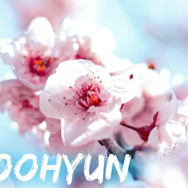 充滿粉絲愛的金秀賢人氣照片